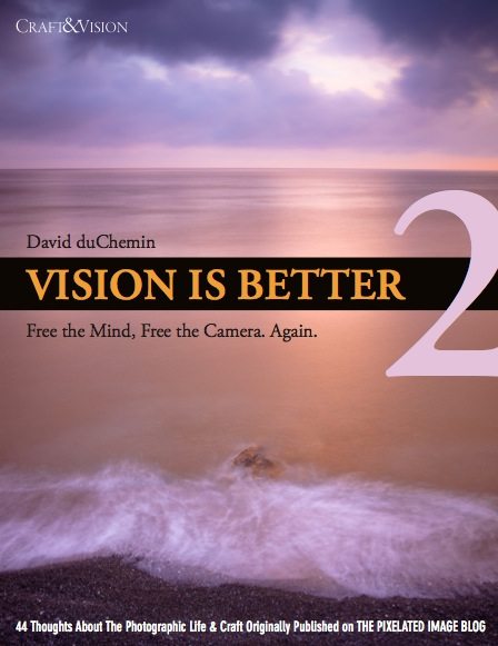 New eBook! Vision is Better 2