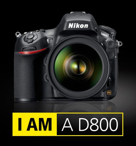 Nikon introduces the D800!
