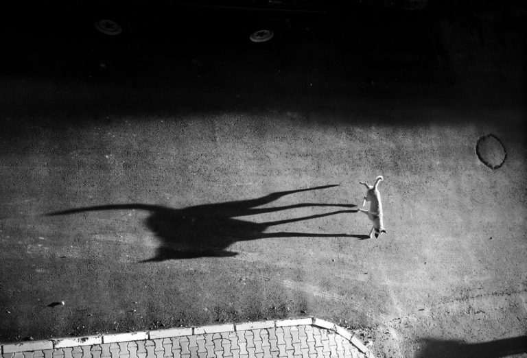 Street Focus 04: SmartPhone Street Photography with Elif Suyabatmaz