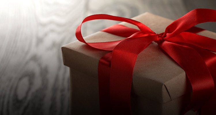 A Photographers’ Christmas in October
