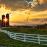 Joe Brady Photography