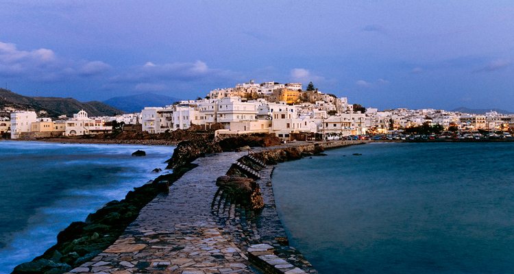 William Innes Travel