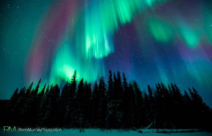 TWiP 420 – Fashion & the Northern Lights