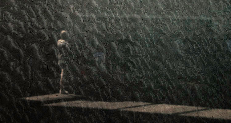 Street Focus 50: An Exercise in Limitation with Maarten Rots