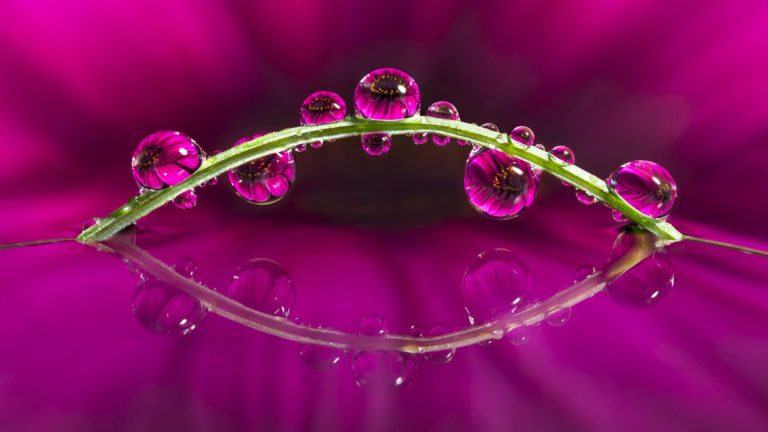 Don Komarechka on Focus Stacking