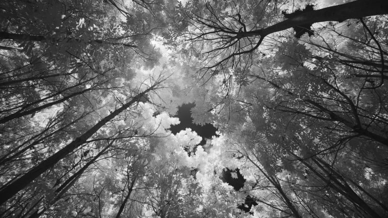 Understanding the Infrared Photography Workflow
