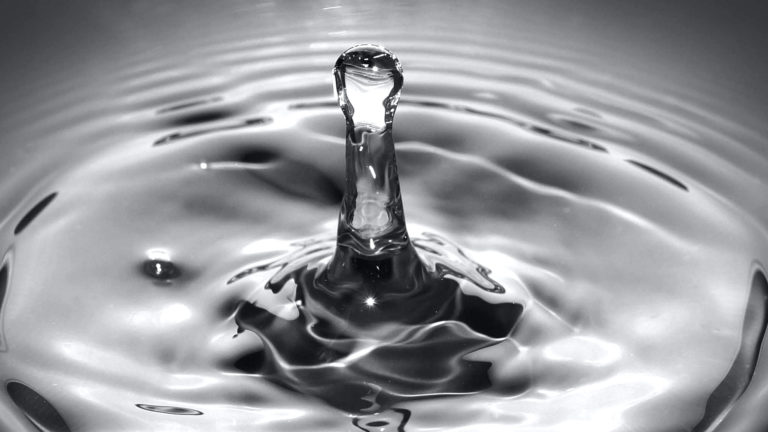 Photo Critique 116 – BLACK & WHITE MOVEMENT!