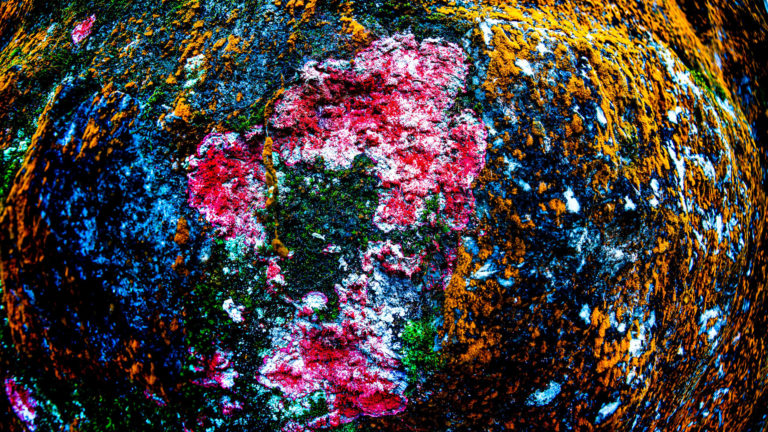 Photo Critique 115 – COLOR!