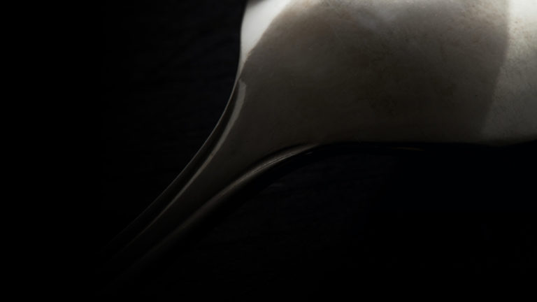 Photo Critique 120 – SPOON