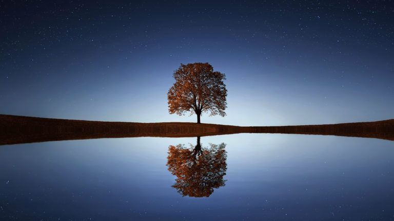 Photo Critique 124 – REFLECTIONS