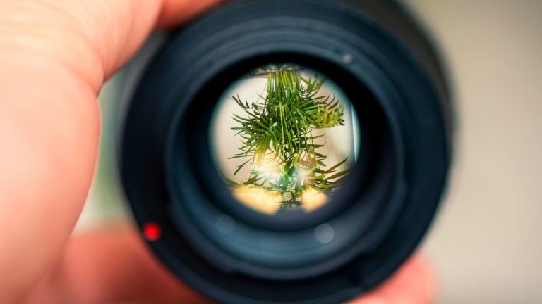 Backside of lens