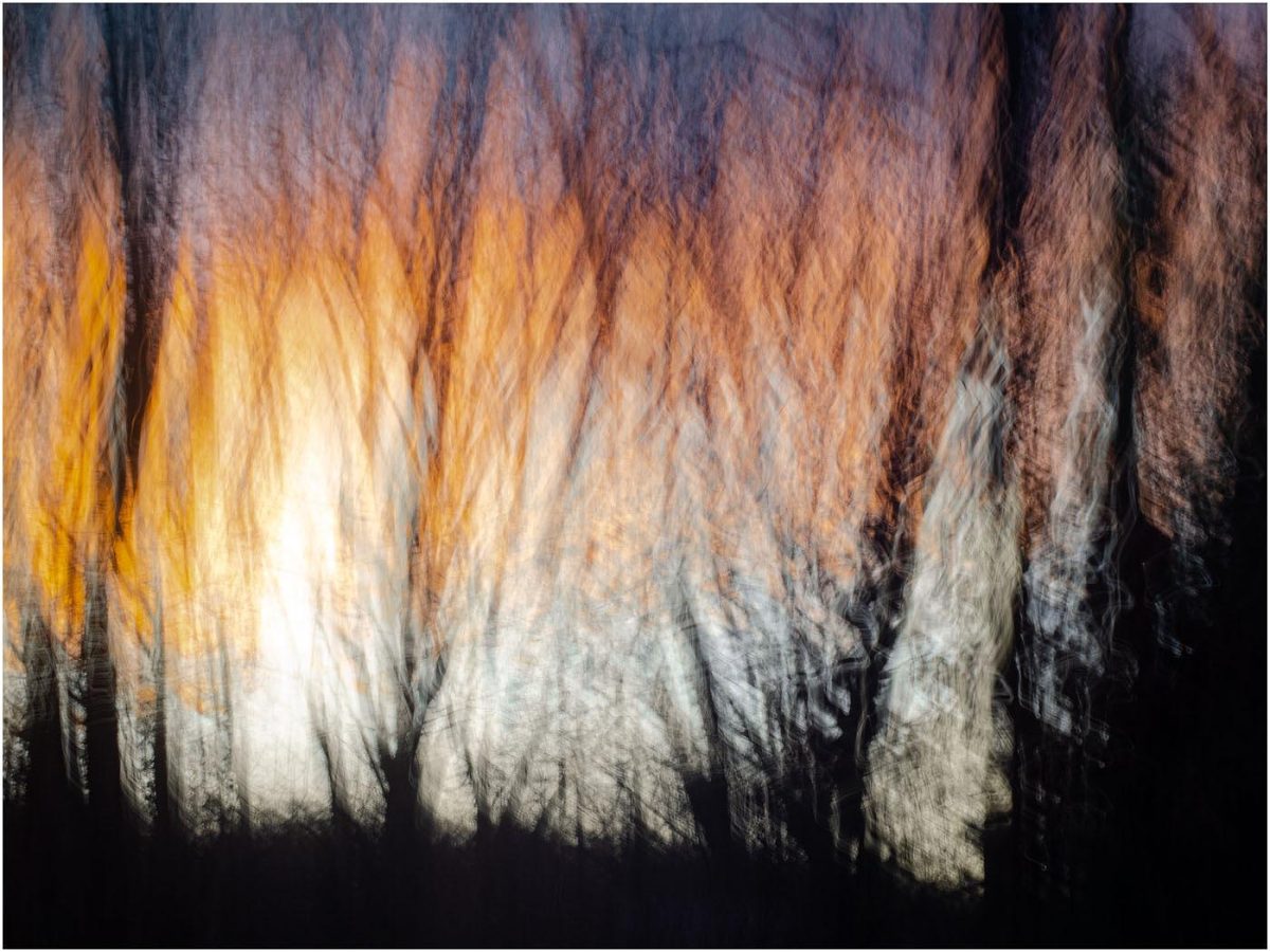 ©Raphael Swift