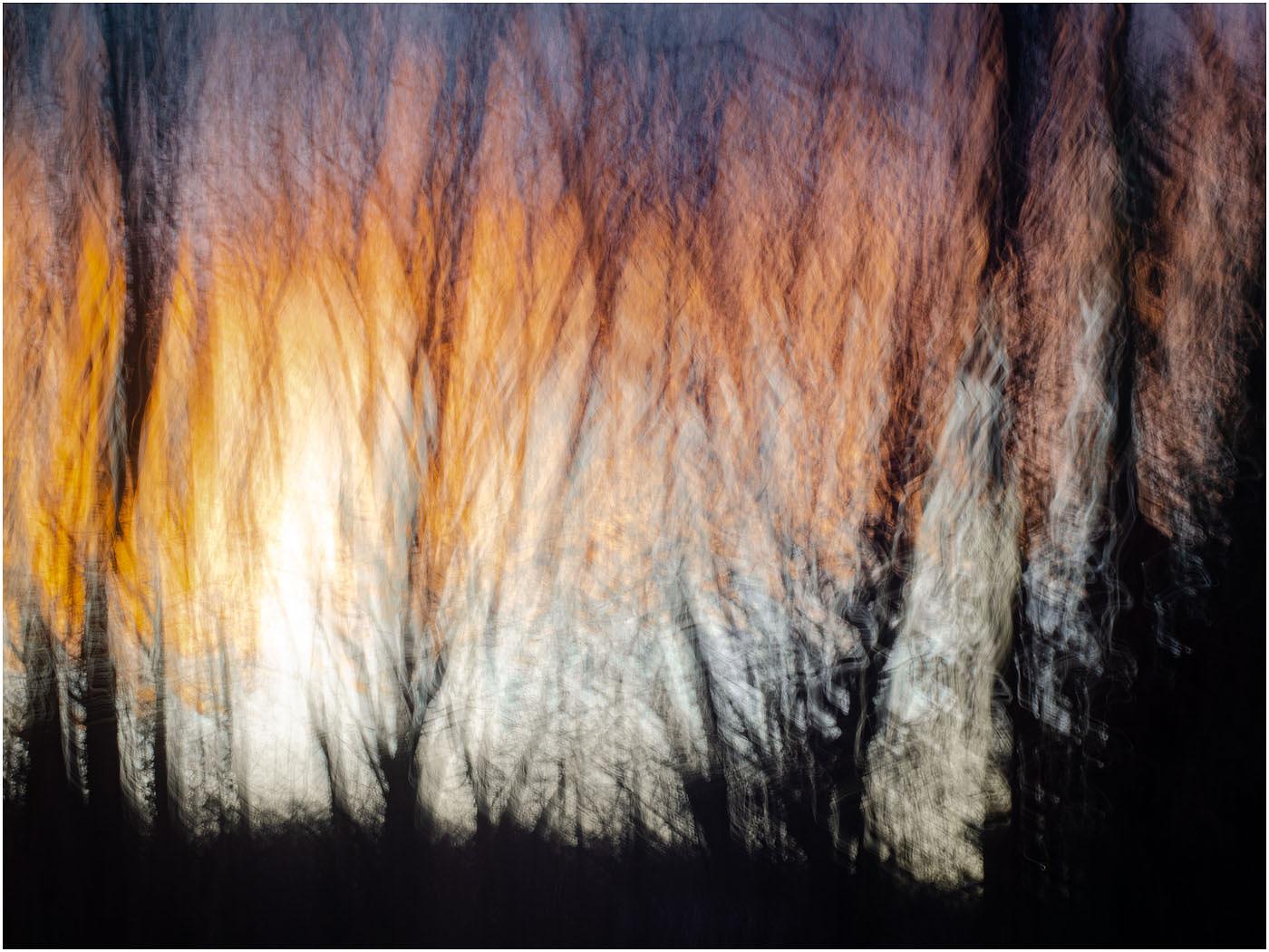 ©Raphael Swift