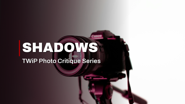 Playing With Shadow: Light’s Other Half